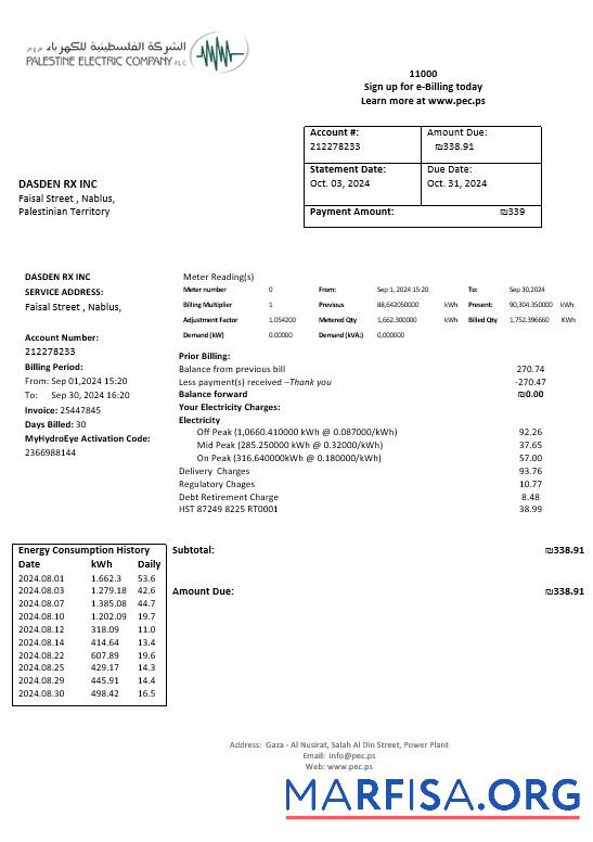 Realistic Palestine Electric Company (PEC) business utility bill template in Word and PDF formats